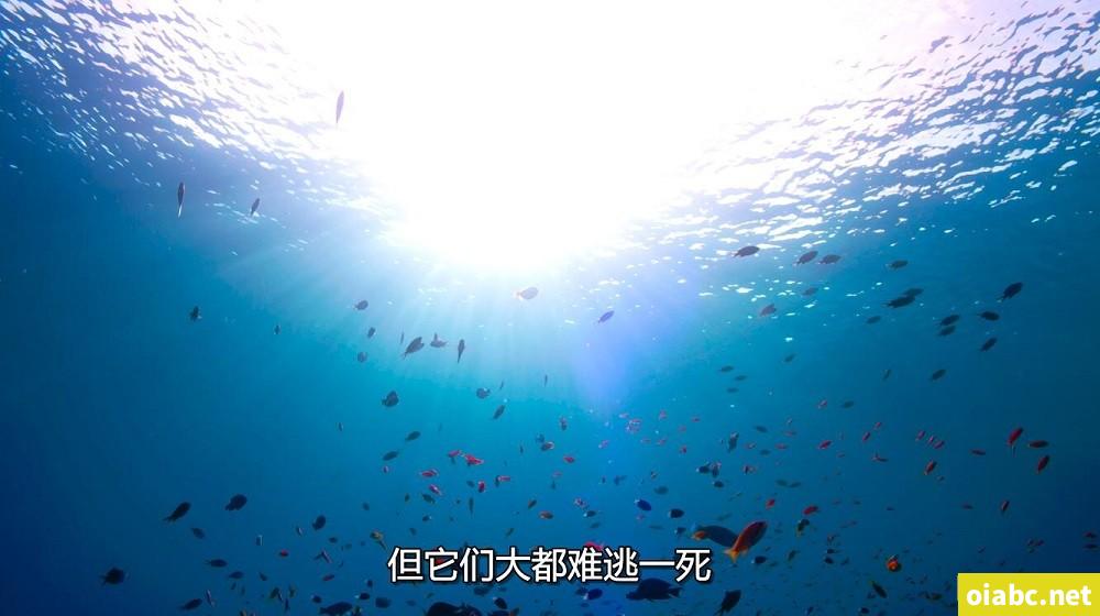BAOYU1119最新网名剧照1